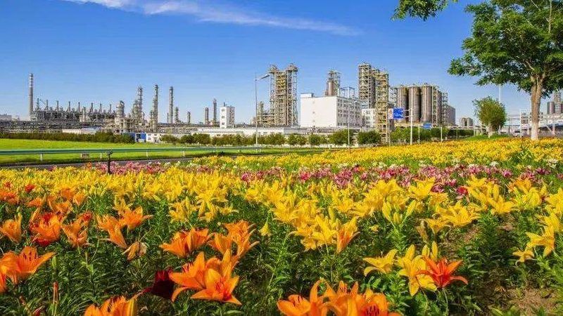 免钉胶：揭秘其价格背后的秘密**