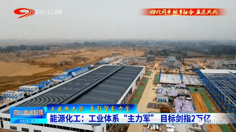 案例分析：如何避免常见误区